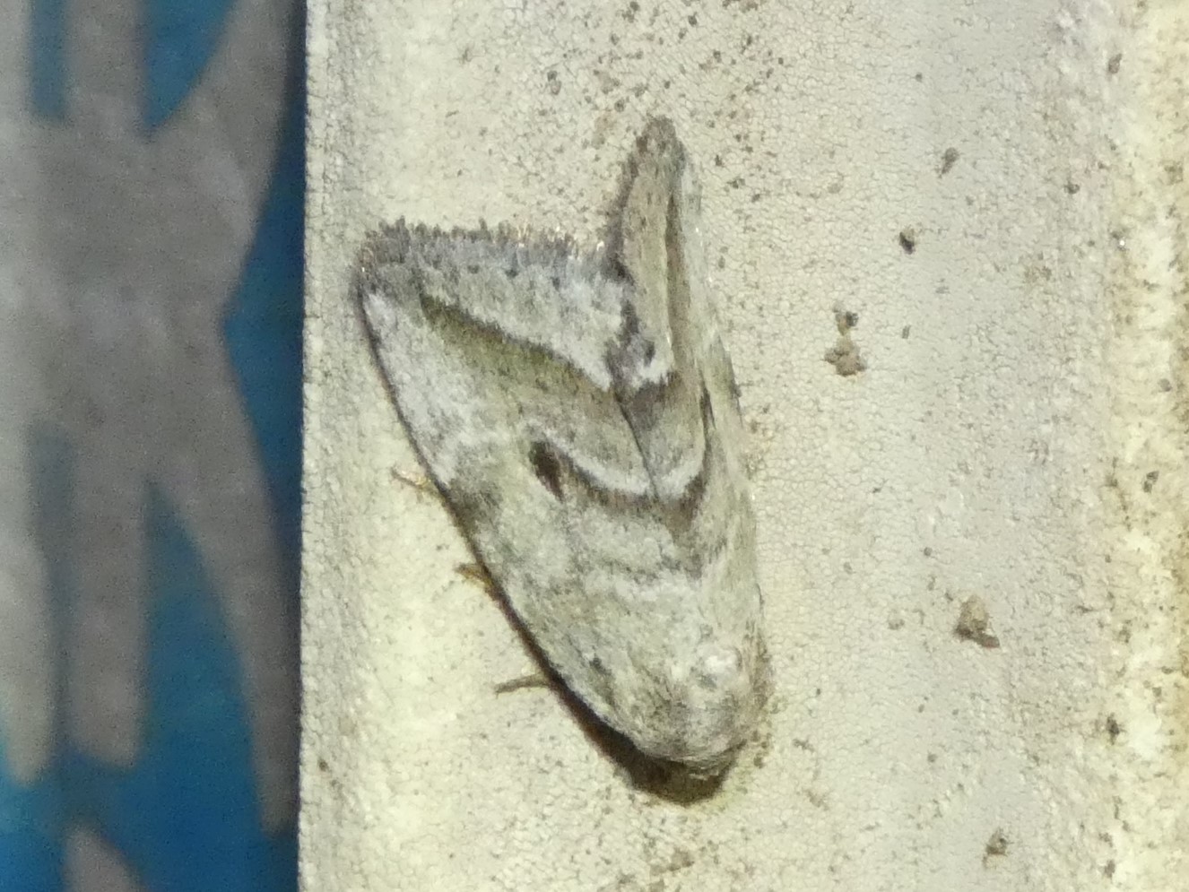 photo_2